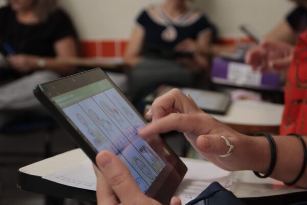 Curso conhecendo o Livox