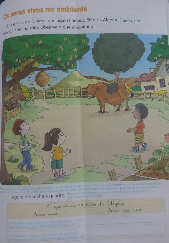 atividade livro didático