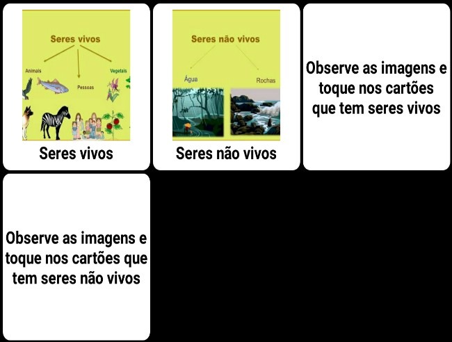 livro didático adaptado